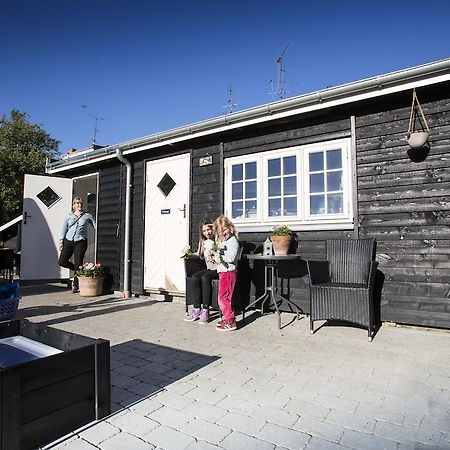 Nykøbing Falster Bb-Vesterskov المظهر الخارجي الصورة