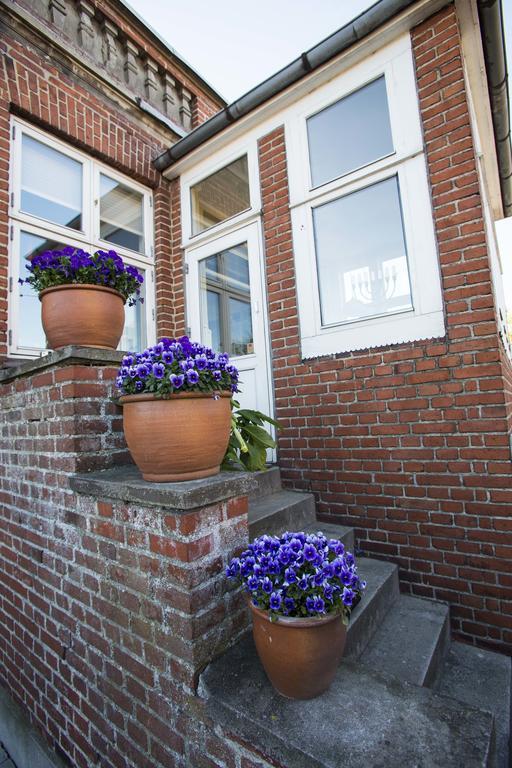 Nykøbing Falster Bb-Vesterskov المظهر الخارجي الصورة
