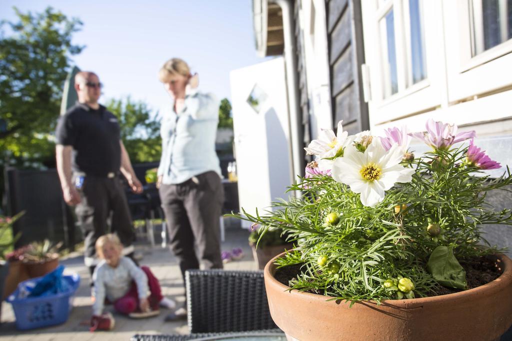 Nykøbing Falster Bb-Vesterskov المظهر الخارجي الصورة